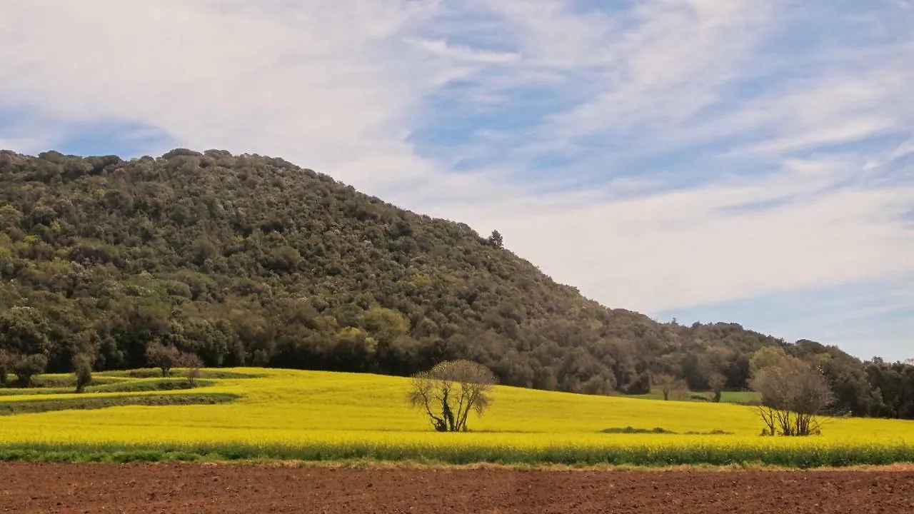 Els Masos De Caula Villa Girona